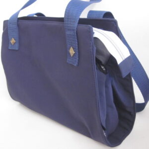 Handtasche Asta Ebook