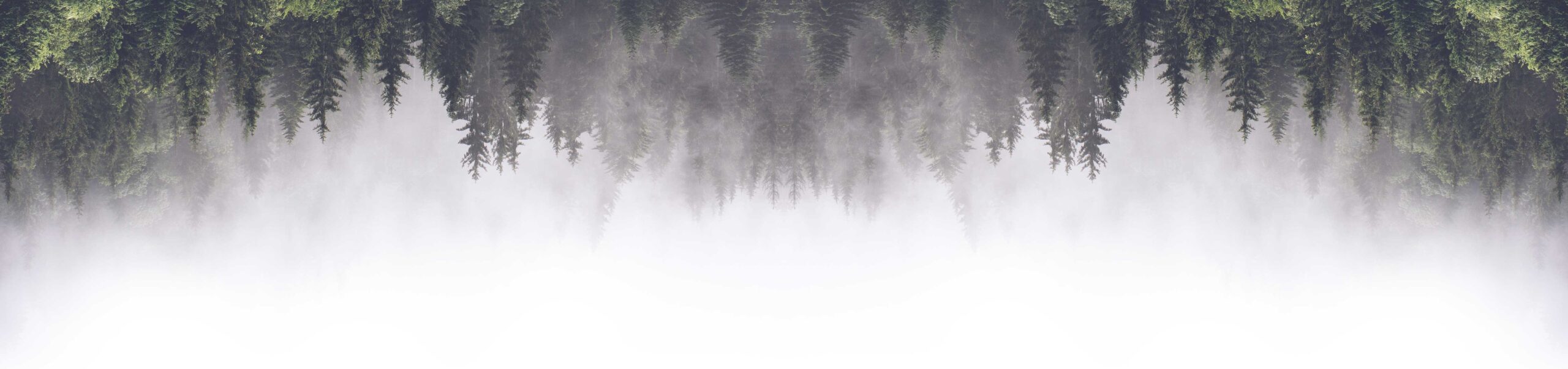 Raureif - alkoholfreier Verjusdrink aus Österreich